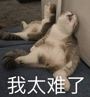 粗纺毛呢面料3