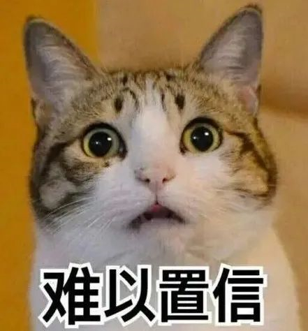 人字呢面料5 人字呢面料5