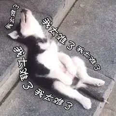 人字呢面料7