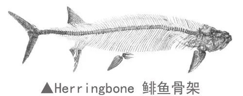 人字呢面料6