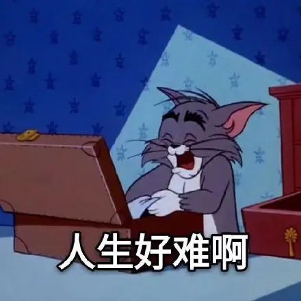 水晶呢面料4
