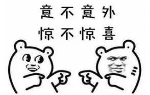 水晶呢面料10