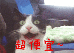 水晶呢面料7
