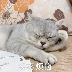 法兰呢面料4
