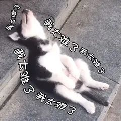 法兰呢面料10