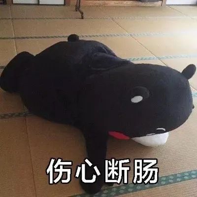 麦尔登呢面料7