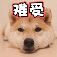 大衣呢面料4