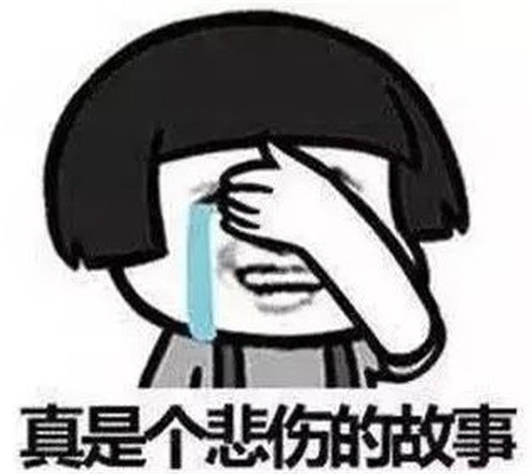 维罗呢面料0