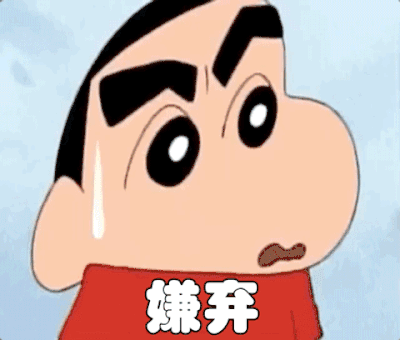 维罗呢面料06