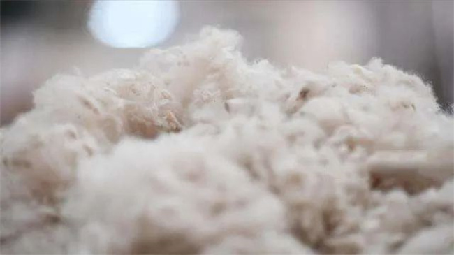 水波纹双面呢面料6