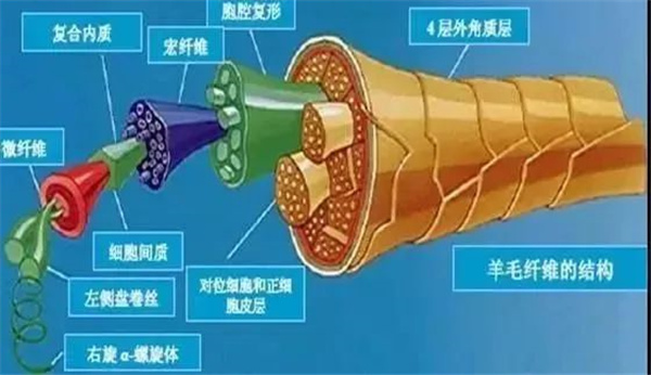 全面双面呢面料02