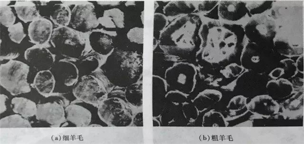 人字纹毛呢面料04