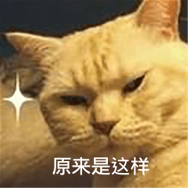人字纹毛呢面料06