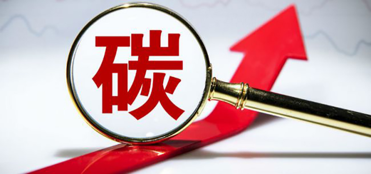 粗纺毛呢面料1